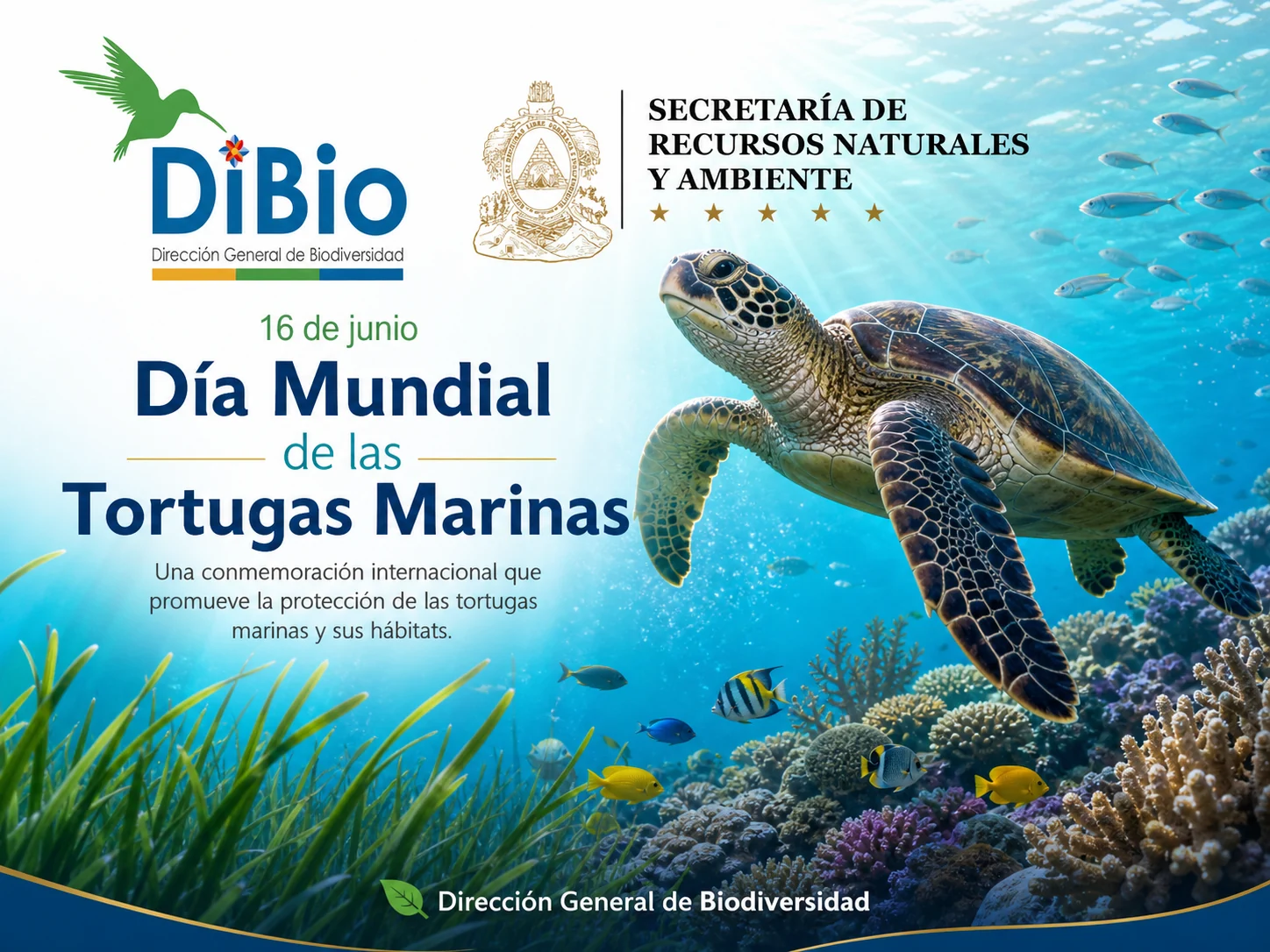 Día Mundial de las Tortugas Marinas